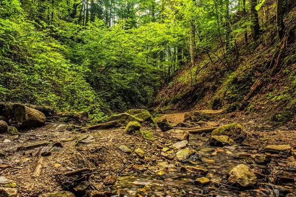 Karpatlar 'daki güzel dağ nehri.