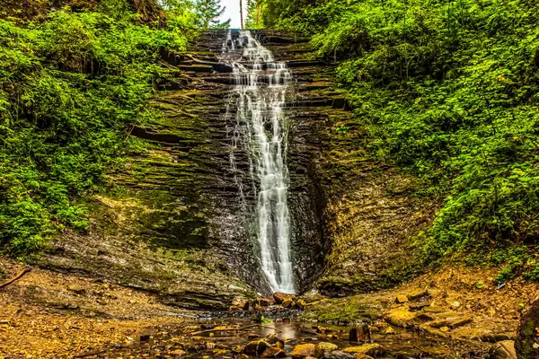 Ormanda güzel bir şelale