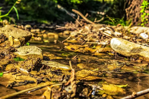 Ormandaki güzel bir şelalenin yakın çekimi.