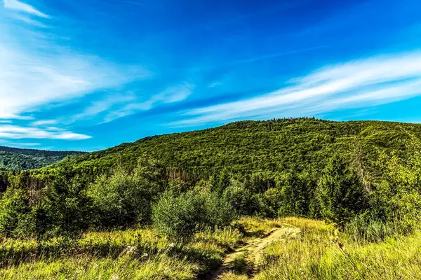 Yaz mevsiminde dağ manzarası