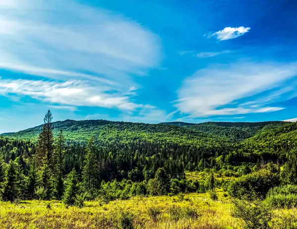 Güneşli bir günde güzel ormanlı dağ manzarası. yaz.