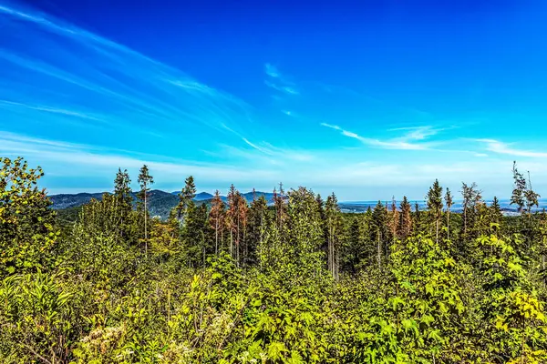 Kuzey denizinin dağlarının panoramik manzarası, kuzey adasının kuzeyi - batı denizi, kuzey eyaletinin kuzeyi