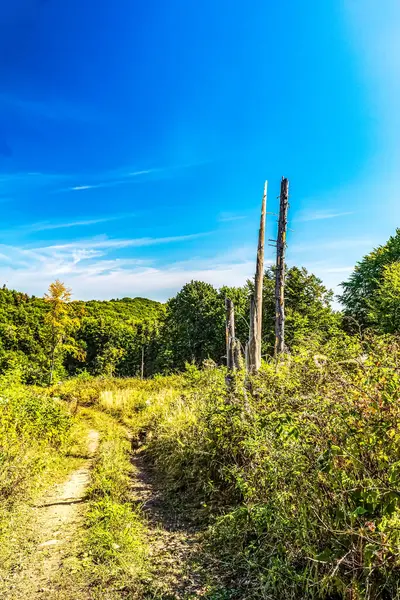 Dağlarda yürüyüş parkurunda. Patikada yürüyüş parkuru.
