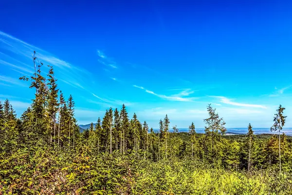 Uralların güzel doğası. Rusya