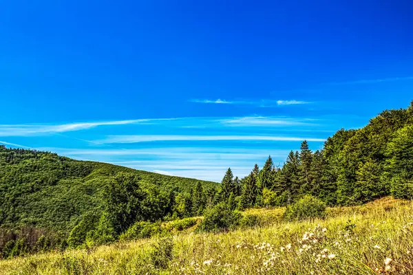 Güneşli bir günde yeşil dağ manzarası