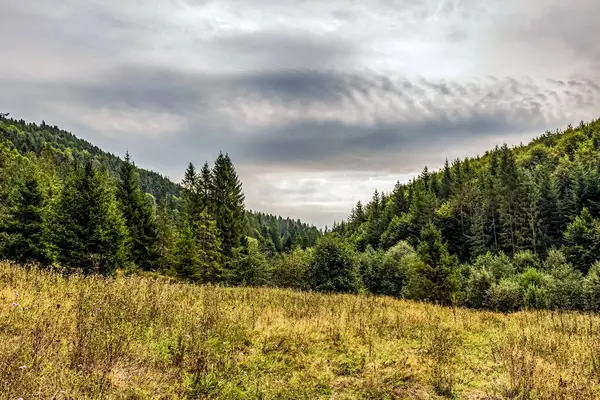 Dağlarda sonbahar manzarası