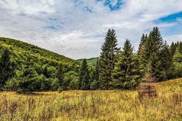 Dağ sırası olan güzel bir manzara.