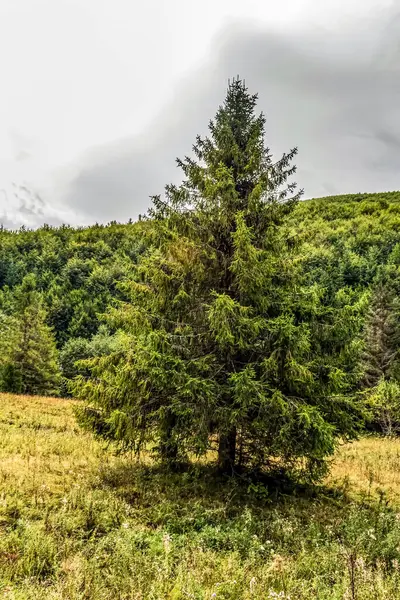 Dağ'ın güzel görünümünden
