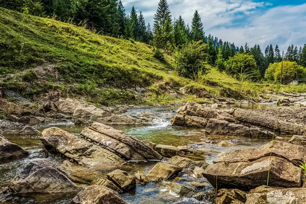 Yeşil ormanın içinden akan güzel nehir