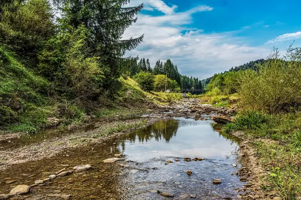 Ormandaki güzel nehir