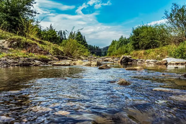 Ormandaki güzel nehir manzarası