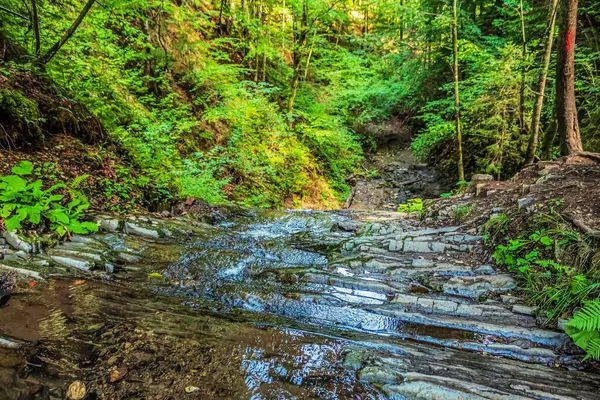 Ormandaki eski bir taş köprünün dikey görüntüsü.