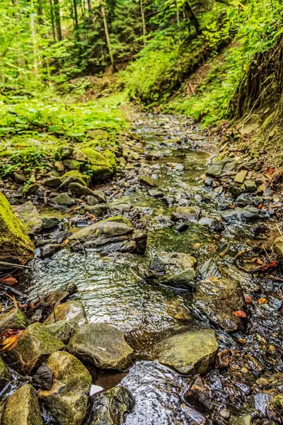 Ormandan akan güzel dağ nehri.