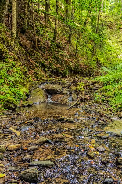 Ormanda güzel bir şelale.