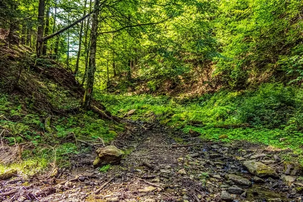 Dağların güzel manzarası