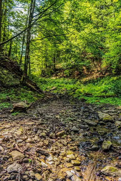 Karpat dağlarında güzel bir şelale
