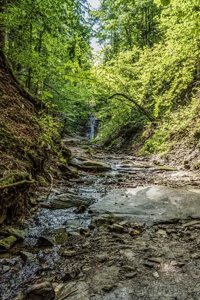 Ormanda güzel bir şelale