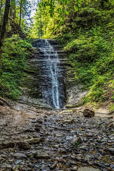 Ormanda bir şelale.