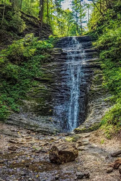 Ormanda güzel bir şelale