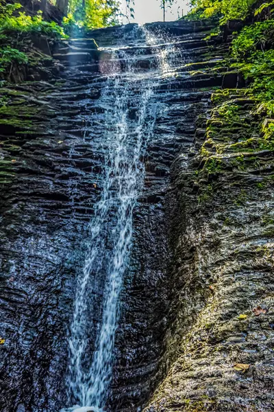 Ormanda güzel bir şelale
