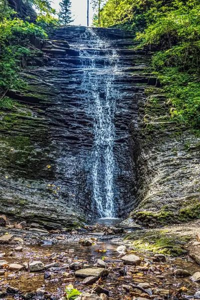 Ormandaki bir uçurumda bir şelale.