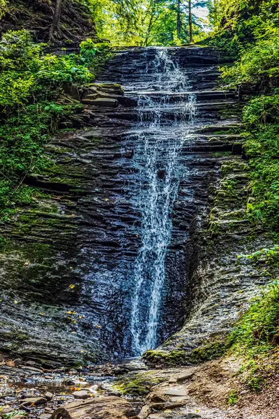 Karpat ormanındaki dağda şelale.