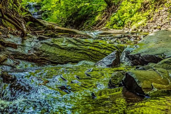 ormanda kayalar üzerinde şelale