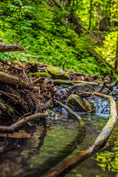 Güneşli bir günde, ormanda güzel bir şelale.