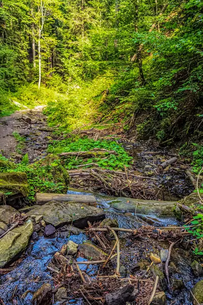 Dağlardaki ormanda güzel bir şelale