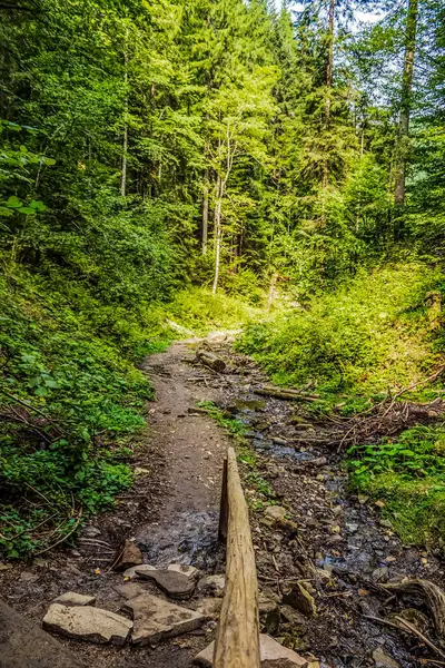 Dağlarda yürüyüş parkuru.