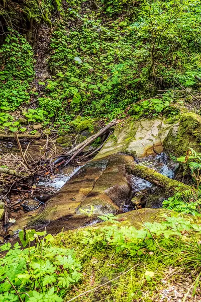Ormanda güzel bir şelale
