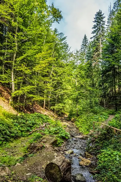 Nehirli güzel dağ manzarası