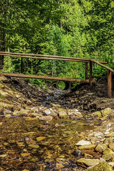 Ormanda güzel ahşap köprü