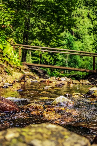 Karpat Ormanında Şelale