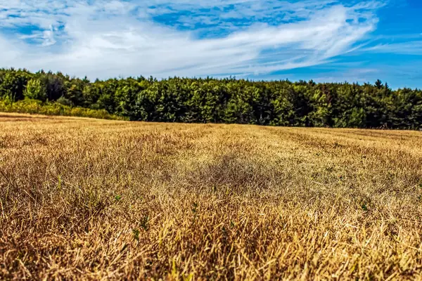 Polonyalı tatralarda sonbahar manzarası, cilalama tatarcıkları