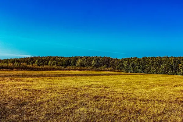 Mavi gökyüzü ve beyaz bulutlarla sonbahar tarlası