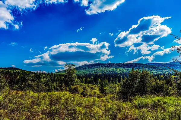 Dağlarda dağları olan güzel bir manzara.