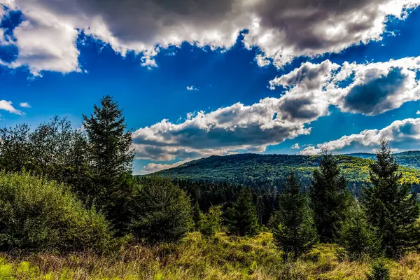 Dağlarda güzel bir sonbahar ormanı