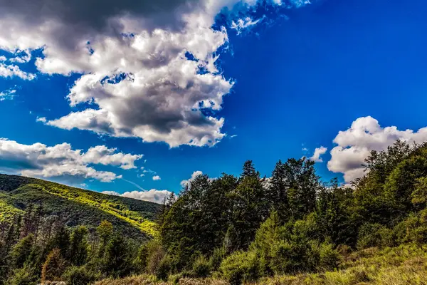 Dağlardaki güzel yaz manzarası