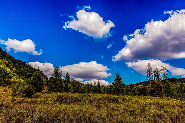 Dağ sırası olan güzel bir manzara.