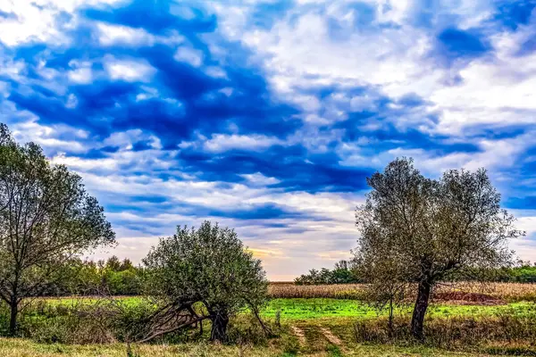Kırsal manzarası çok güzel.