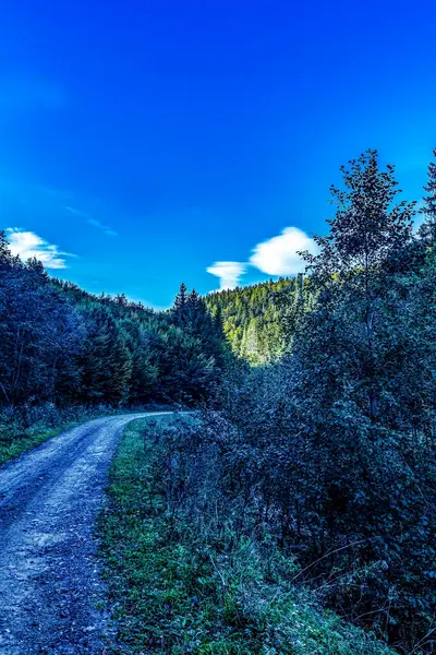 Doğanın güzel manzarası