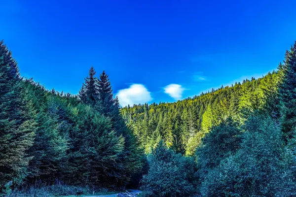 Dağların güzel manzarası