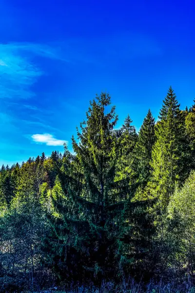 Güzel manzara. doğa arkaplanı