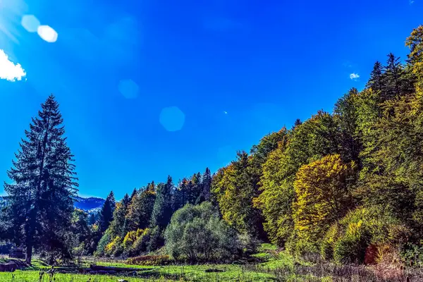 Dağ sırası olan güzel bir manzara.