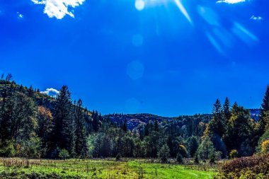 Orman ve mavi gökyüzü ile sonbahar manzarası