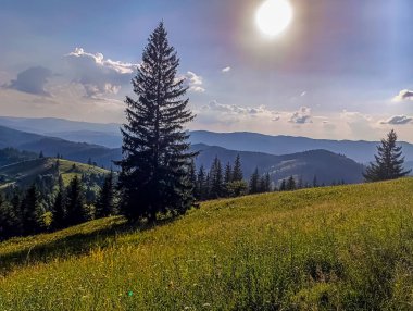 Bulgaria 'nın yedi gölünün yakınındaki harika bir yaz manzarası.