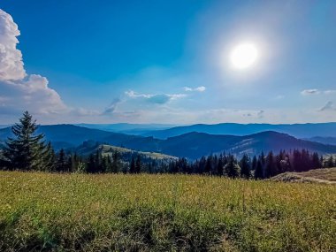 Karpatlar 'da yaz dağlarda.