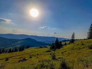 Yeşil çimen ve mavi gökyüzü olan güzel bir manzara.