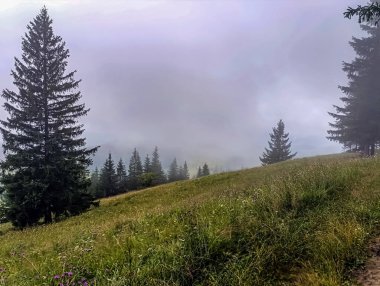 Dağlarda sisli bir sabah